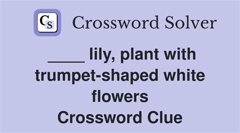 city of lilies (8) Crossword Clue .